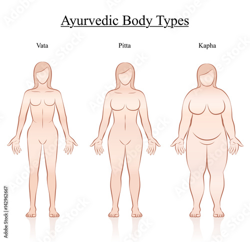 Body constitution types - ayurvedic typology - vata, pitta, kapha. Isolated outline vector illustration of female body - frontal view - different anatomy.