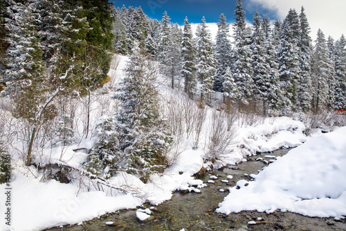 White trees covered by fresh snow in Alps, postcard winter landscape. photo