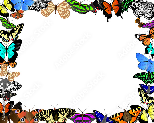 Butterfly Border