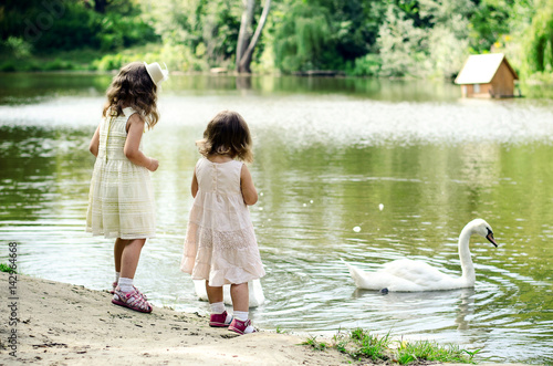 Two little girls feeding swans. Mothers day