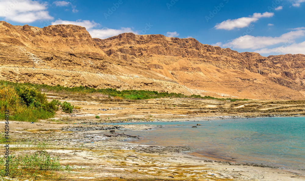 View of the Dead Sea coastline