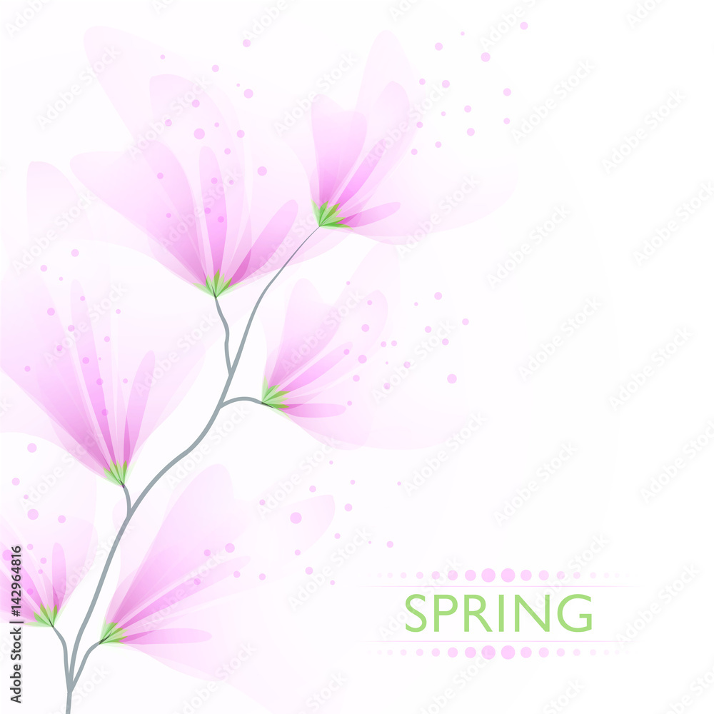 Vector background with delicate flowers Vector background with delicate flowers