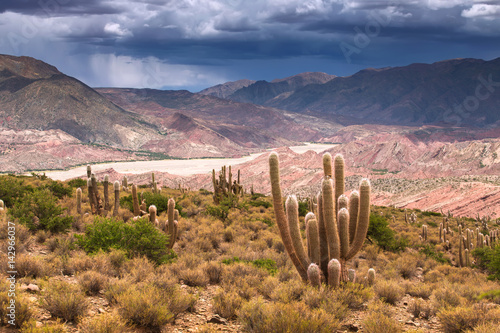 High Altiplano plateau, Eduardo Avaroa Andean Fauna National Reserve, Bolivia