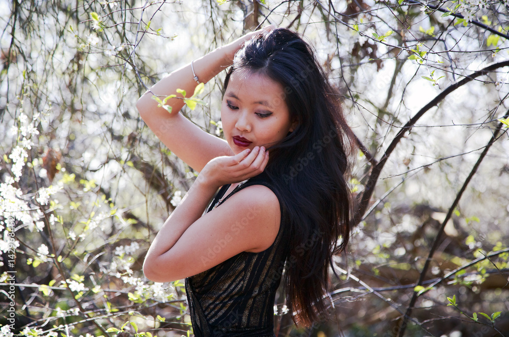 beautiful oriental, Chinese young woman with long dark hair, posing in woodland of wild plum trees full of white blossom beautiful oriental, Chinese young woman with long dark hair, posing in woodland of wild plum trees full of white blossom