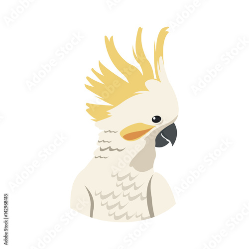 cockatoo bird icon over white background. colorful design. vector illustration