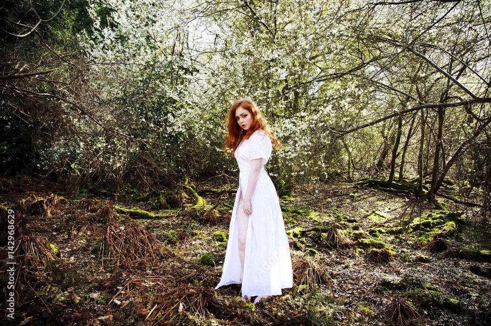 Beautiful young woman with cascading long red hair, wearing a long white dress, posing in a woodland full of white blossom Beautiful young woman with cascading long red hair, wearing a long white dress, posing in a woodland full of white blossom