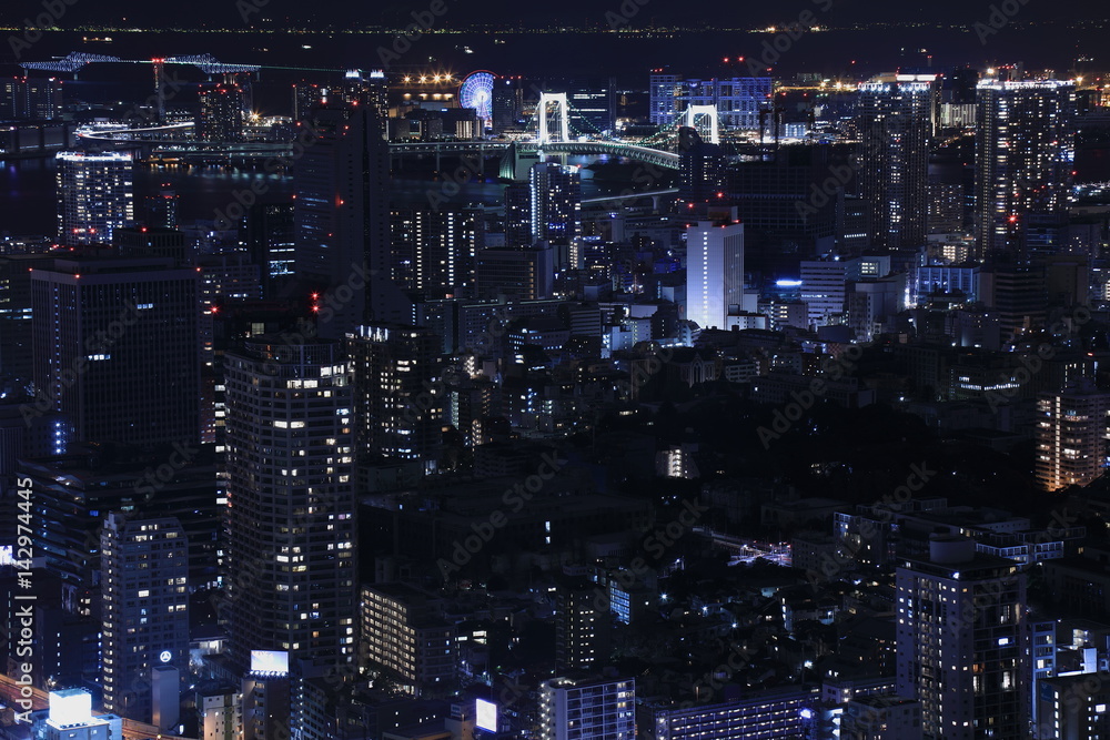 Tokyo night view Tokyo night view