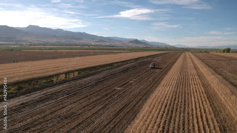 Aerial view flying over truck in cornfield Aerial view flying over truck in cornfield
