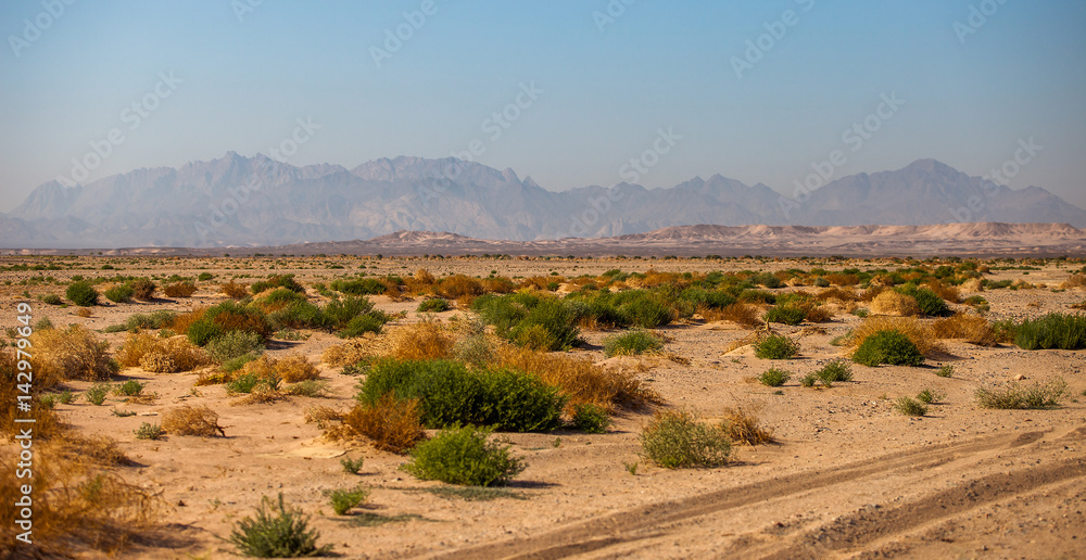 Naklejka premium Desert view