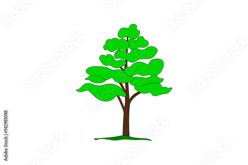 Simple cartoon drawing of a tree, vector illustration.