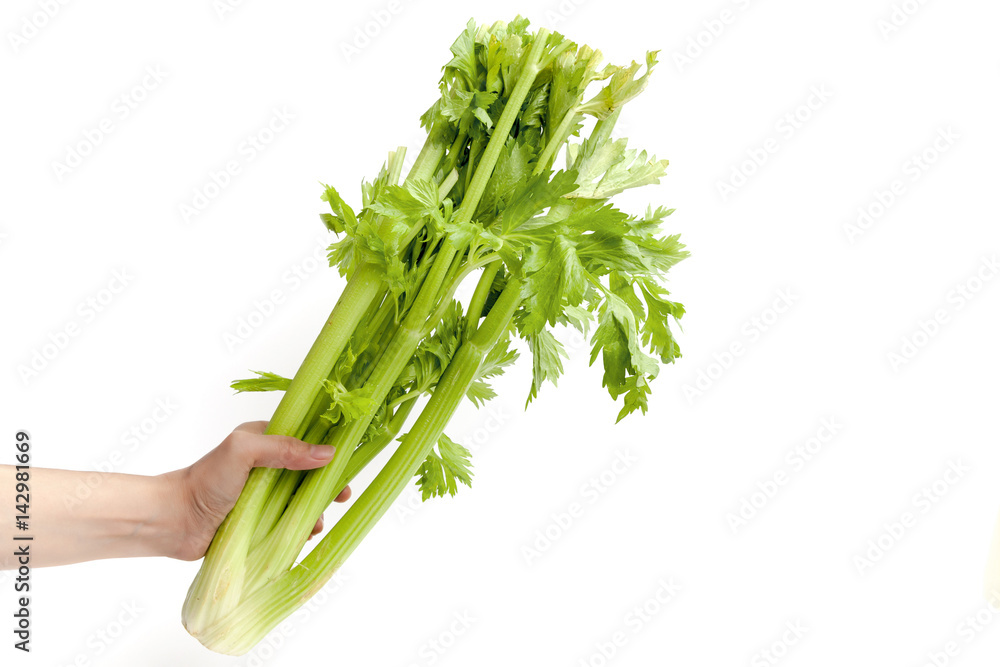 Holding celery on white background isolated