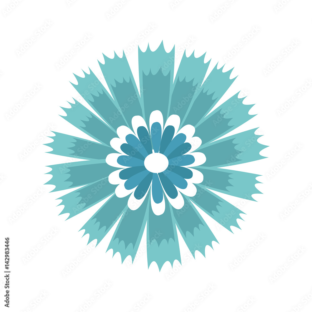 beautiful flower icon over white background. colorful design. vector illustration beautiful flower icon over white background. colorful design. vector illustration