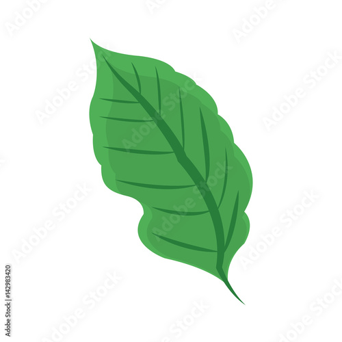 green leaf icon over white background. vector illustration
