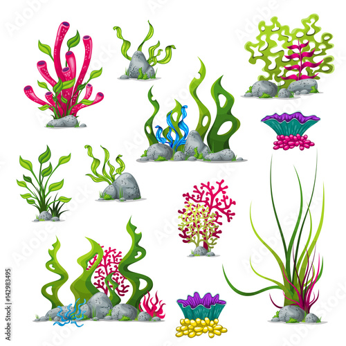 Set of different underwater plants