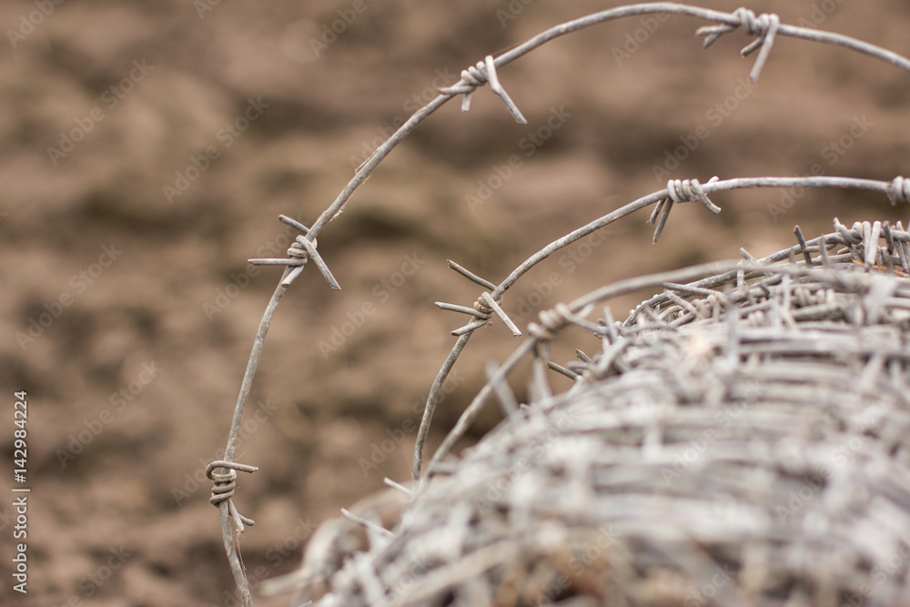 Barbed wire. Restriction of freedom or protection Barbed wire. Restriction of freedom or protection