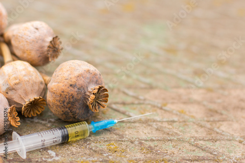 Drug opium poppy inside the syringe. Deadly drug addiction