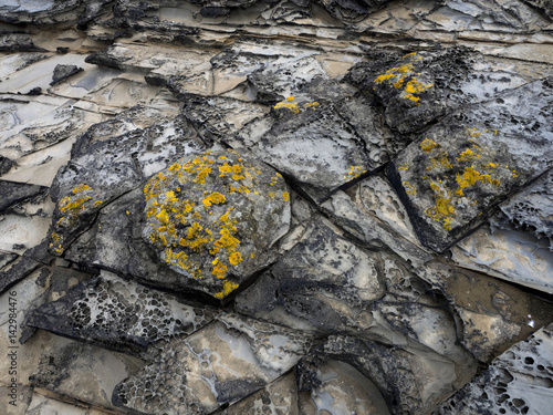 interesting rock formations  Sea Lion Island, Falkand / Malvinas photo