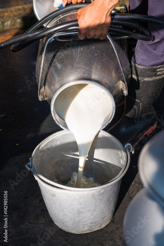 worker pouring the milk into tank