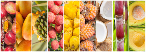  collage de fruits tropicaux  photo