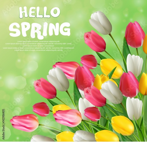 Hello spring with tulip flowers