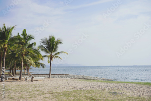 Beach with coconut trees and daybed