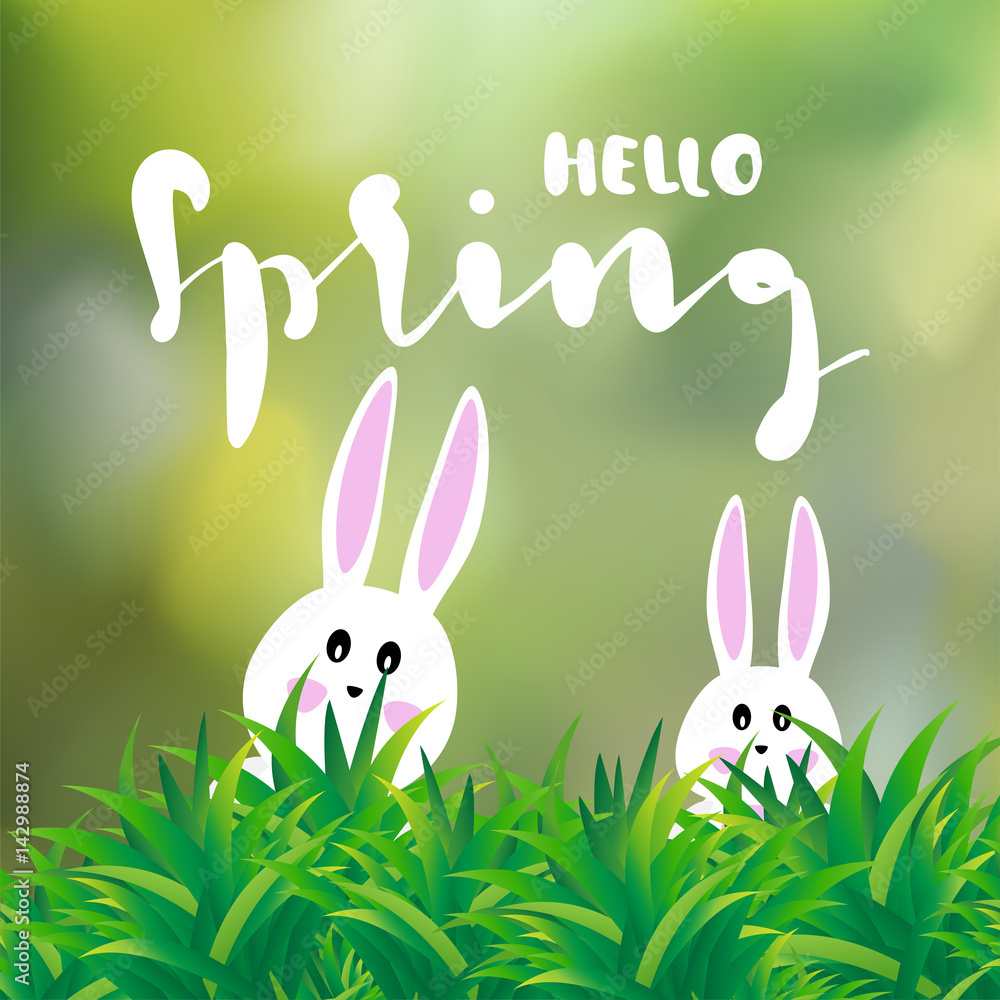 hello spring lettering with modern calligraphy on green forest background with bunny. Template for spring greeting card, banner and poster in vector illustration hello spring lettering with modern calligraphy on green forest background with bunny. Template for spring greeting card, banner and poster in vector illustration