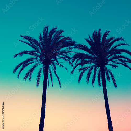 Silhouette of two palms on sunset background