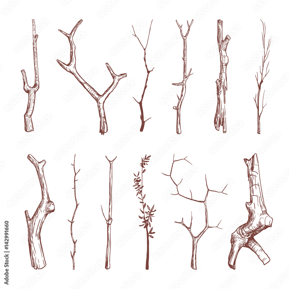 Hand drawn wood twigs, wooden sticks, tree branches vector rustic decoration elements - obrazy, fototapety, plakaty 