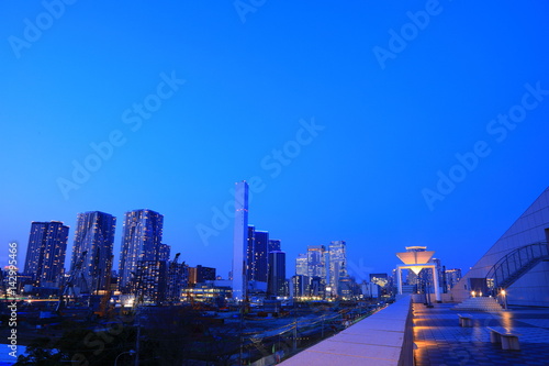 Tokyo night view