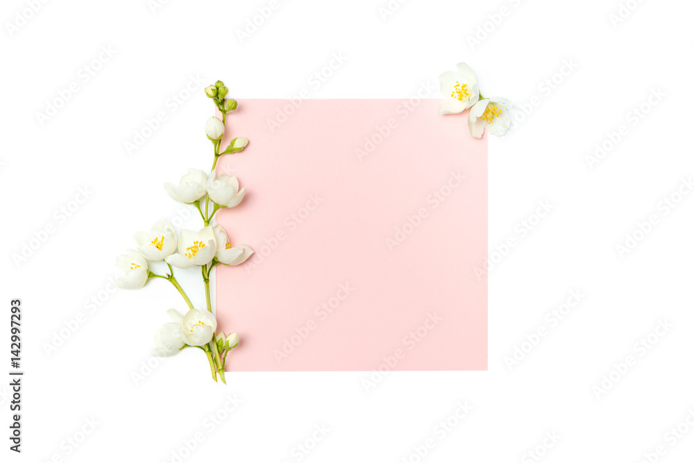 branch of blossoming jasmine and blank pink card isolated on whi