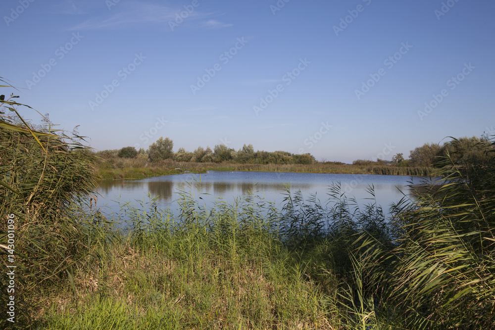 Wasserfläche, Vogelschutzgebiet, Rieselfelder, Münster, Münsterland, Nordrhein-Westfalen, Deutschland