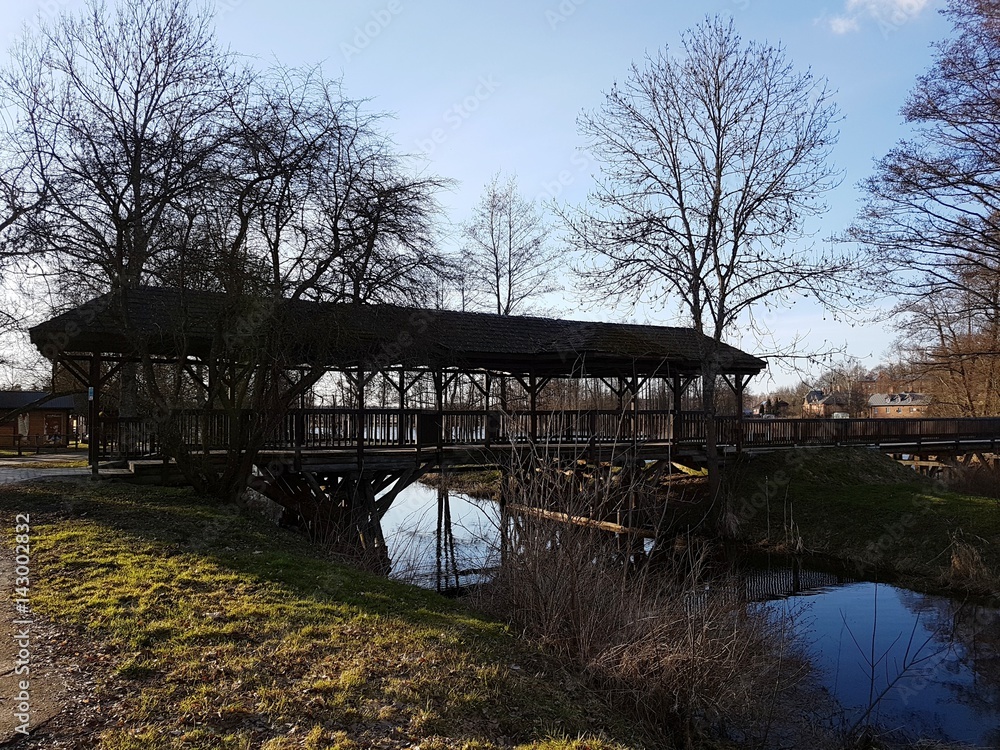 Fototapeta premium Most w parku. Białowieża