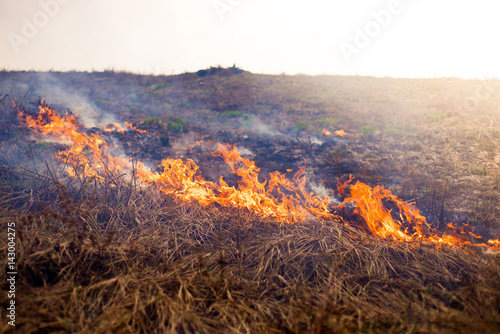 The grass burns, the fire, the scorched earth, ecology