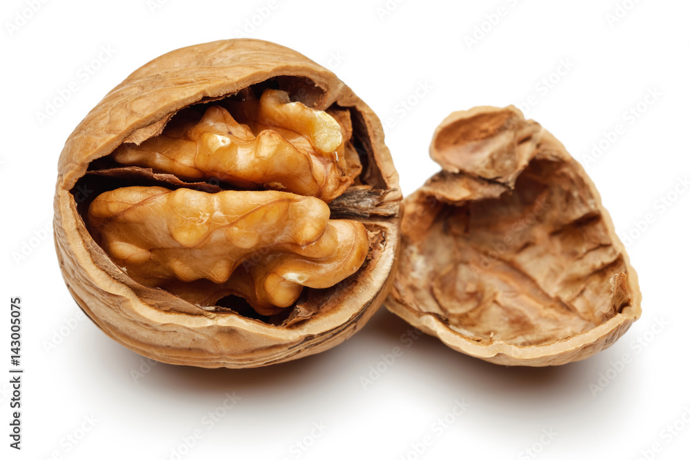 Walnut Walnut