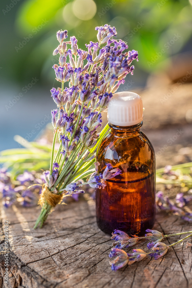 Bunch of lavandula or lavender flowers and oil bottle are on the old wooden table. Bunch of lavandula or lavender flowers and oil bottle are on the old wooden table.