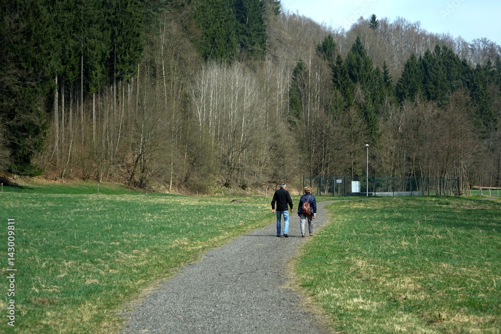 Fototapeta premium wandern in Thermalbad-Wiesenbad