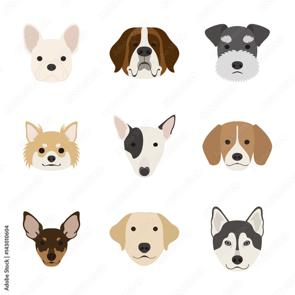 Fototapeta premium 犬の顔セット