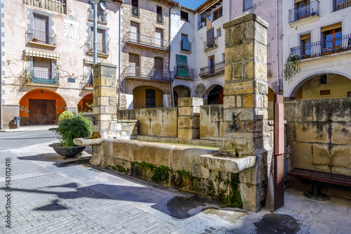 Source of the square of the village, in Talarn Spain © KarSol