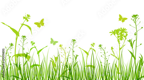 Naklejka Kwiaty i zielona trawa
