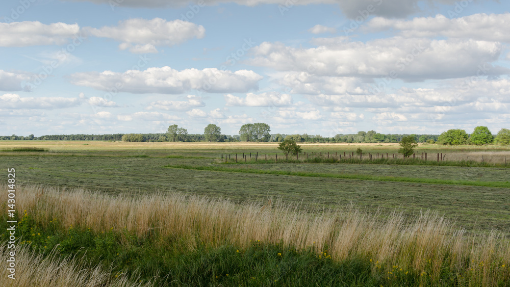 Naturpark Westhavelland