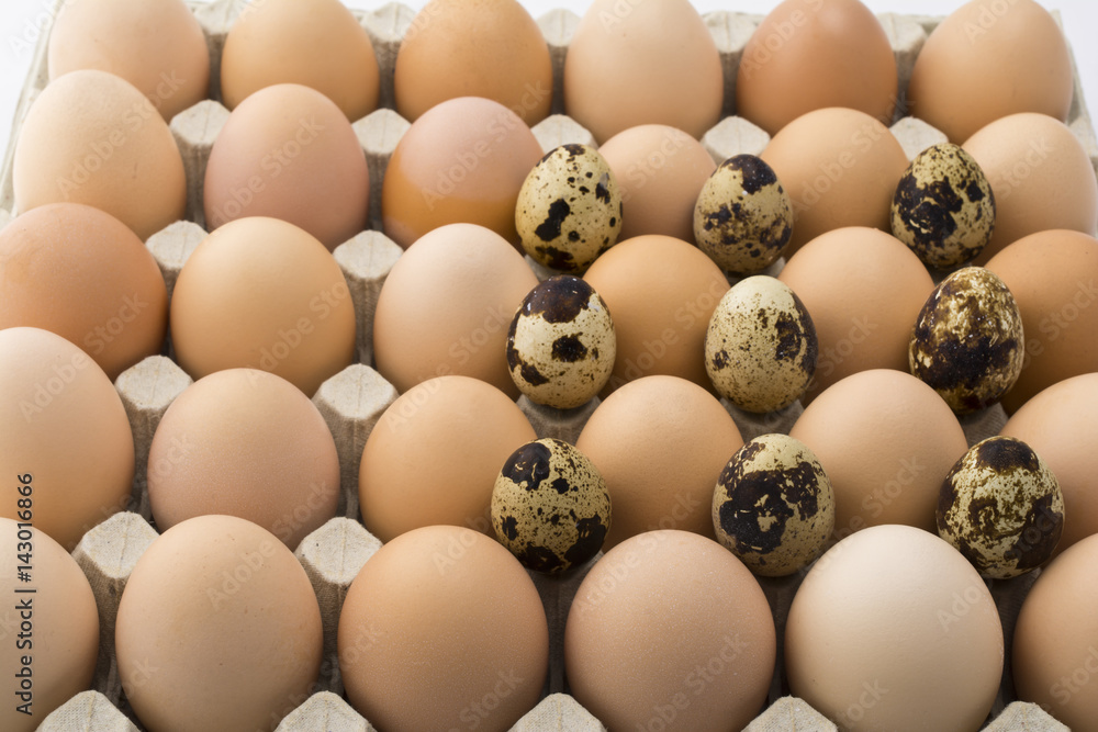 Background of chicken and quail eggs in a cardboard tray. Background of chicken and quail eggs in a cardboard tray.
