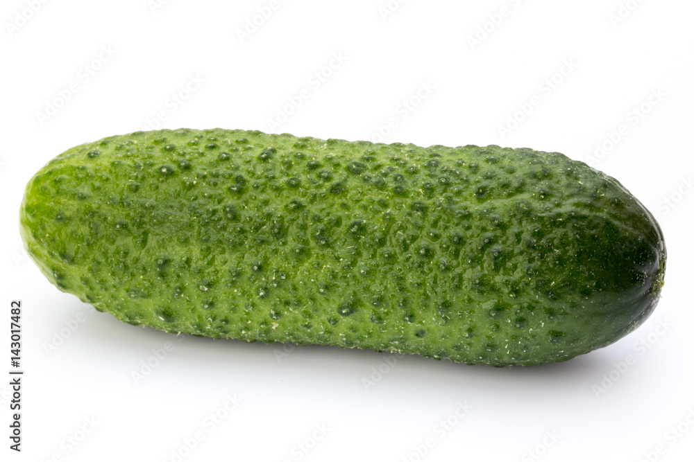 The first spring ecologically cucumbers. The first spring ecologically cucumbers.