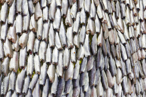 raw fish body without head at market