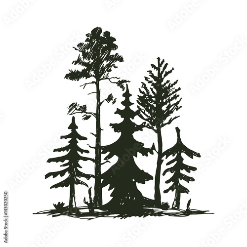 Tree outdoor travel black silhouette coniferous natural badge, tops pine spruce branch cedar and plant leaf abstract stem drawing vector illustration.