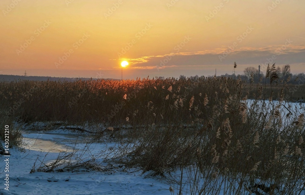 Winter sunset on the river, snow and reeds