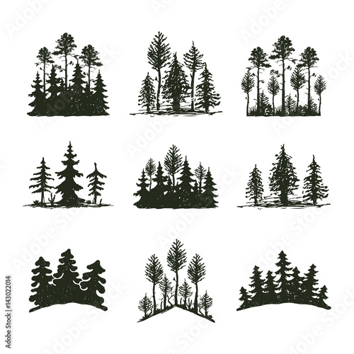 Tree outdoor travel black silhouette coniferous natural badge, tops pine spruce branch cedar and plant leaf abstract stem drawing vector illustration.