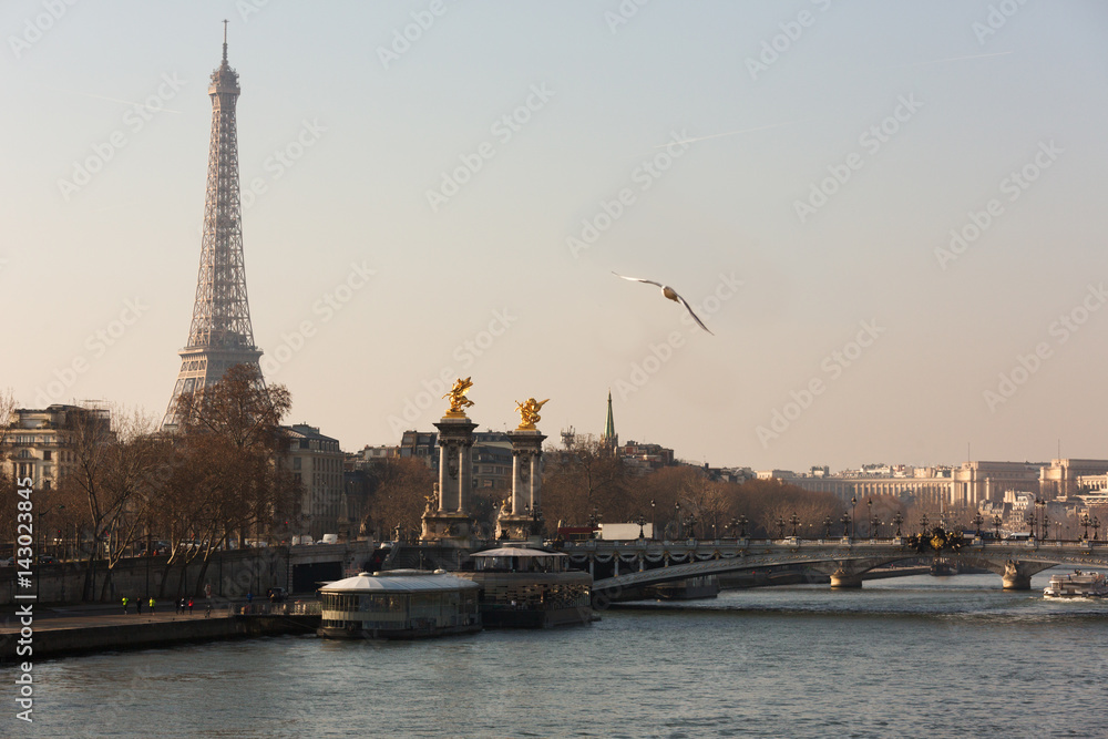 Eiffel Tower (Tour Eiffel ) view from Alexandre Bridge
