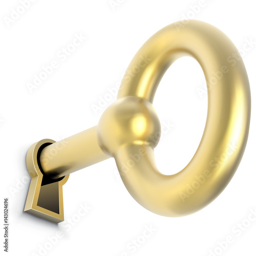 Gold key inserted in door keyhole vector illustration