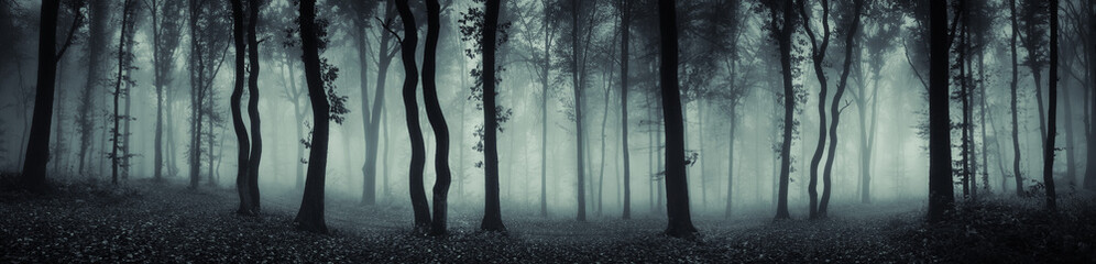 dark forest panorama fantasy landscape