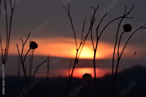 Zachód słońca, słońce, natura, przyroda, niebo, zmierzch photo